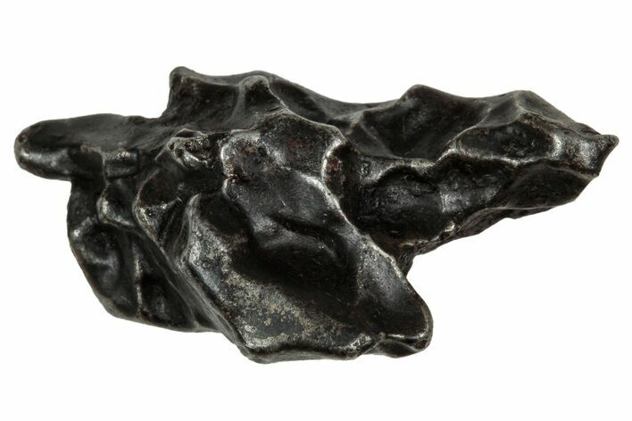 Fusion Crusted Sikhote-Alin Iron Meteorite ( g) - Russia #334581